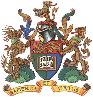 The University of Hong Kong logo